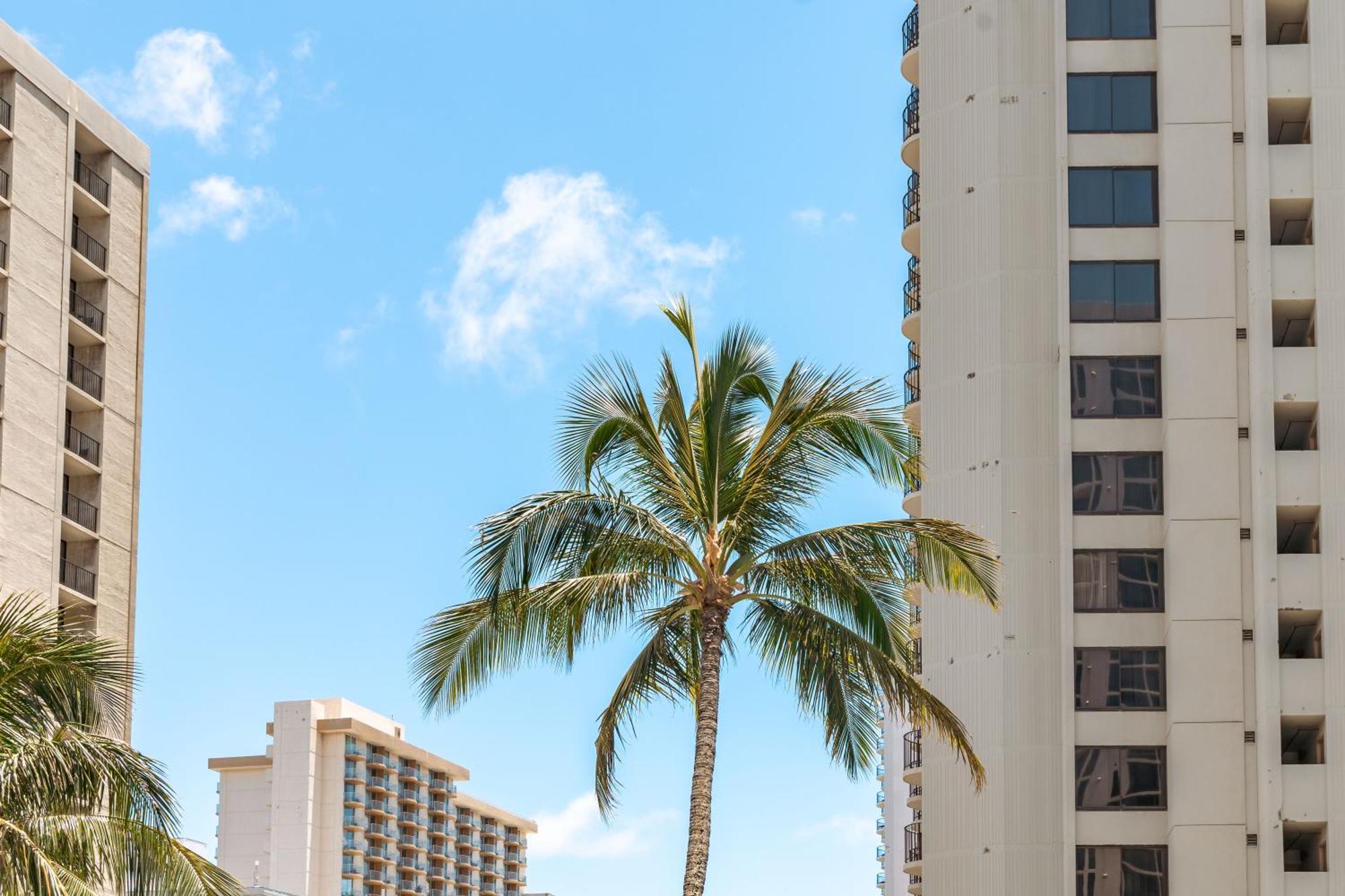 1Br With Great Ocean Views, 1 Block To Waikiki Beach Honolulu Eksteriør bilde